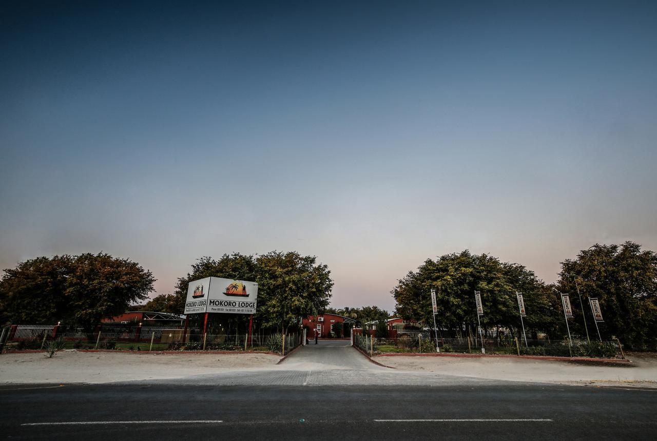 Mokoro Lodge Maun Exterior photo