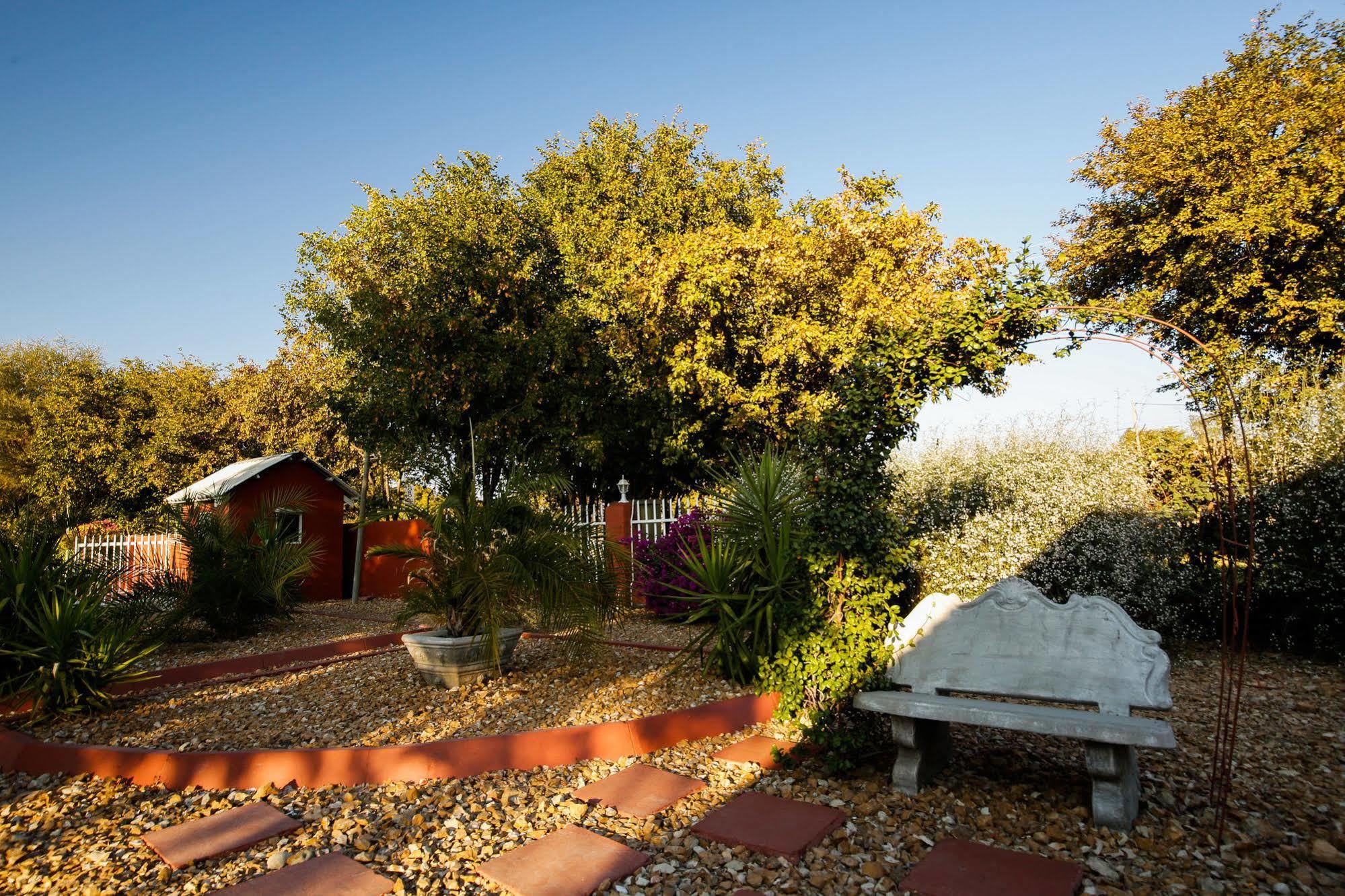 Mokoro Lodge Maun Exterior photo