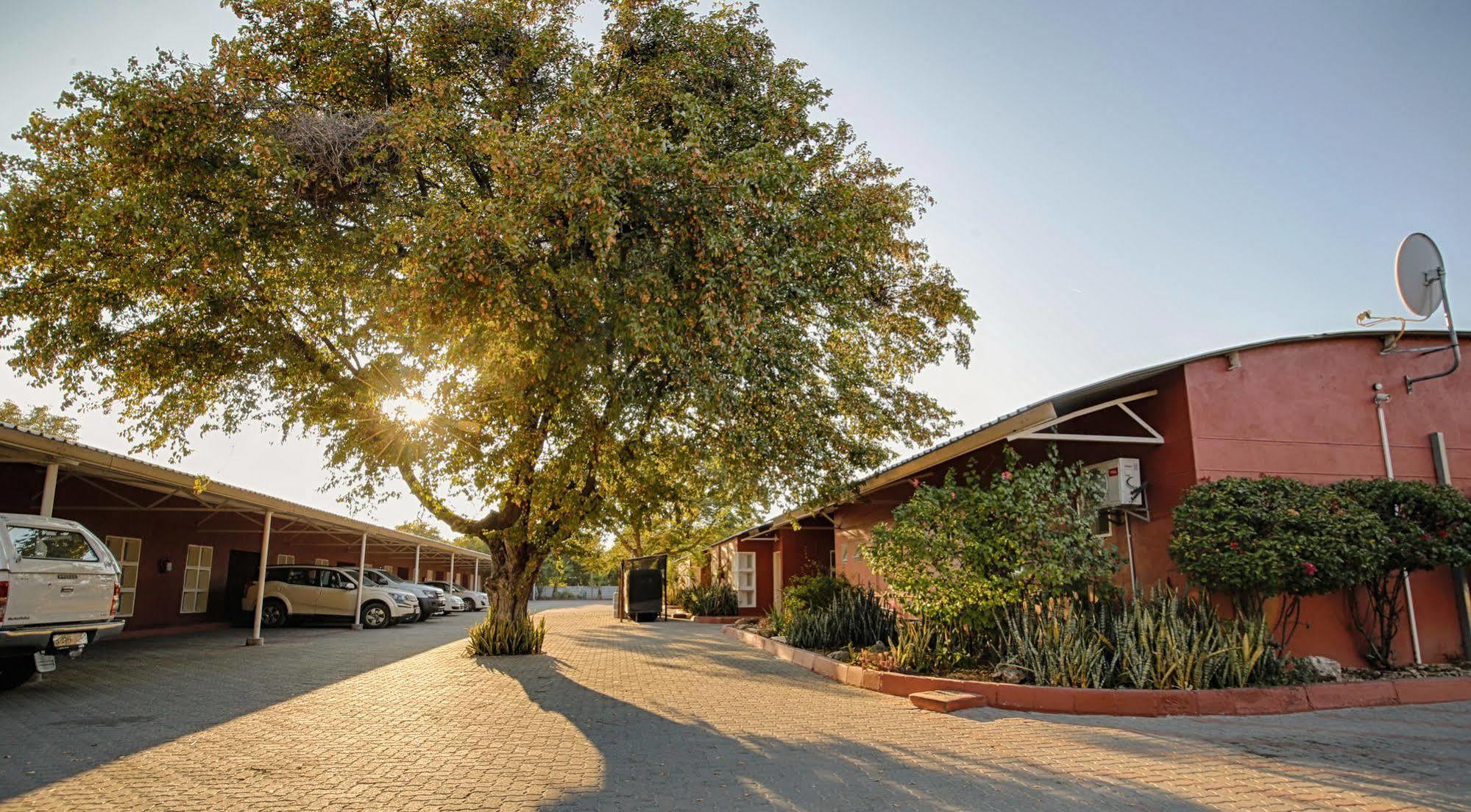 Mokoro Lodge Maun Exterior photo
